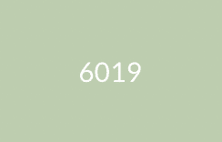 6019
